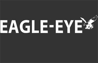 TELEASSISTENZA EAGLE-EYE